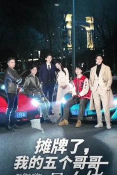 摊牌了我的五个哥哥是大佬