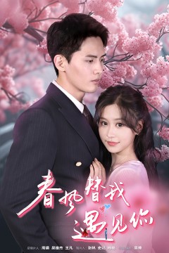 春风替我遇见你