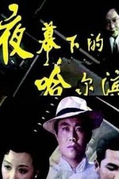 夜幕下的哈尔滨