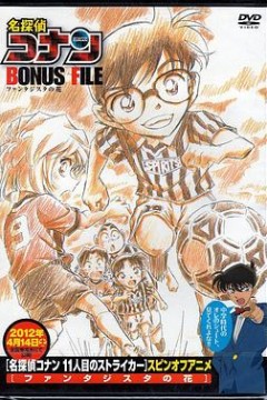 名侦探柯南特典：9号半之花