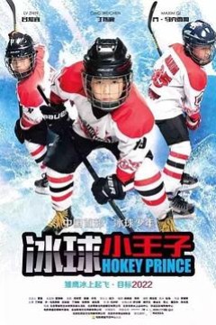 冰球小王子