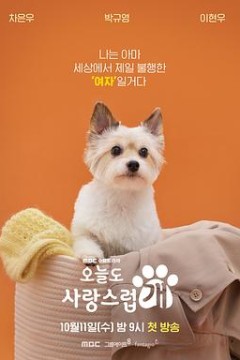 今天也很可爱的狗