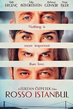 伊斯坦布尔红