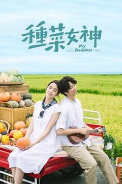 种菜女神