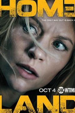 国土安全第五季