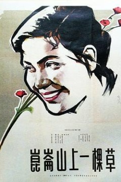 昆仑山上一棵草