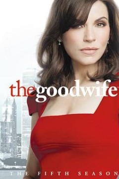 傲骨贤妻第五季