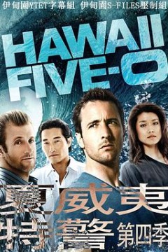 夏威夷特勤组第四季