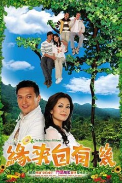 缘来自有机粤语