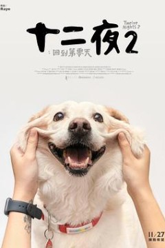 十二夜2：回到第零天