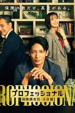 专业人士：保险调查员，天音莲