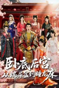 卧底后宫从端尿盆到睡龙床