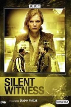 无声的证言第十二季