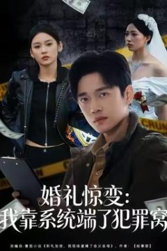 婚礼惊变：我靠系统端了犯罪窝