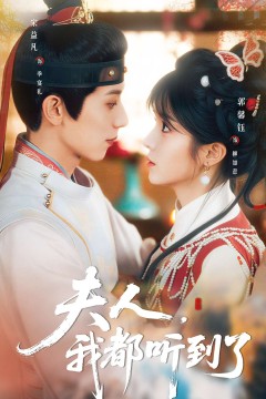 夫人，我都听到了