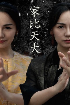 家比天大短剧版