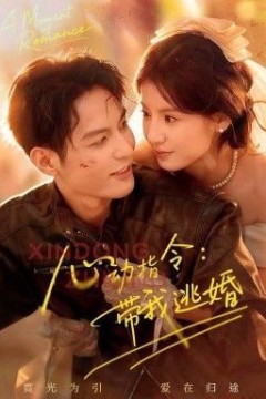 心动指令：带我逃婚＆玫瑰窃贼