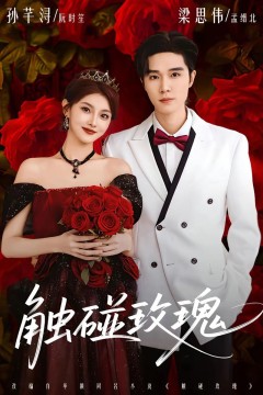 触碰玫瑰(凌晨四点半)玫瑰花未眠