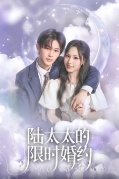 陆太太的限时婚约