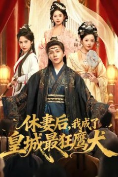 休妻后，我成了皇城最狂鹰犬