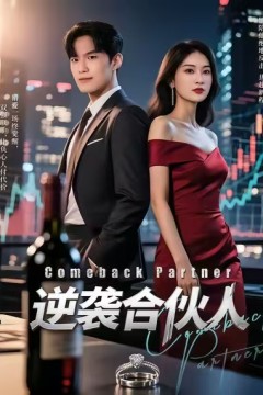 逆袭合伙人.
