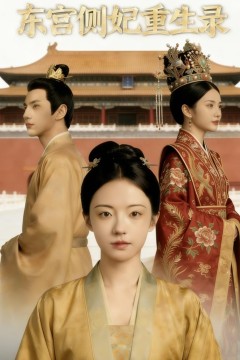东宫侧妃重生录