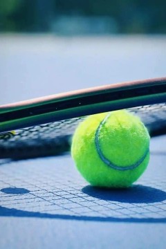 WTA多哈站第六日：萨卡里VS穆霍娃