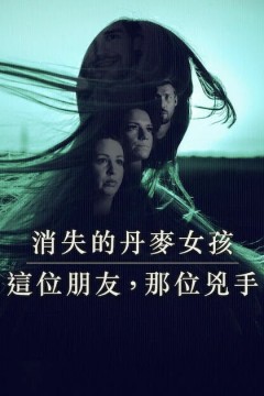 消失的丹麦女孩：这位朋友