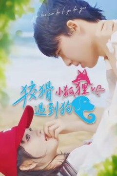 狡猾小狐狸遇到狗