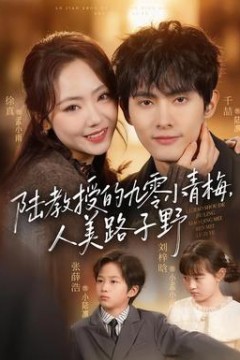 陆教授的九零小青梅，人美路子野