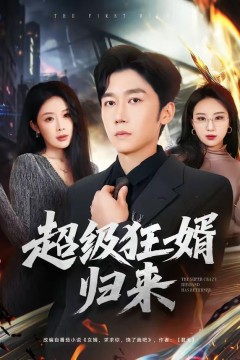 超级狂婿归来