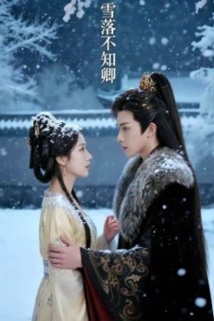 雪落不知卿