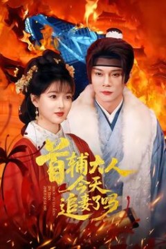 首辅大人今天追妻了吗