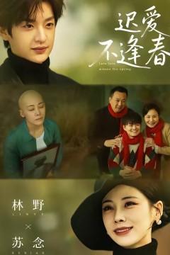 迟爱不逢春