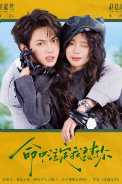 命中注定我怼你