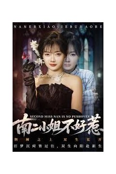 南二小姐不好惹