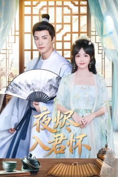 夜烬入君怀