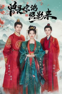 曾是惊鸿照影来