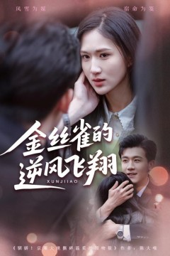 金丝雀的逆风飞翔