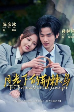 月光下的荆棘鸟