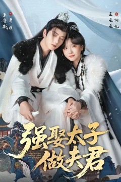 强娶太子做夫君