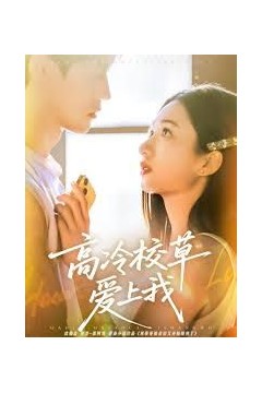 高冷校草爱上我