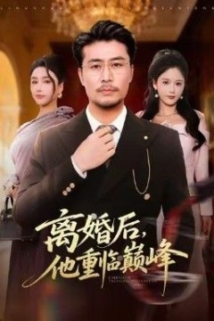 离婚后，他重临巅峰