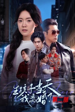 生孩子当天我离婚了第二部