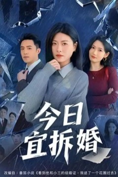 今日宜拆婚