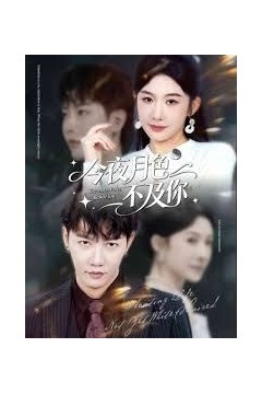 今夜月色不及你