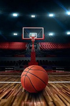 2月25日25-26赛季NBA常规赛 森林狼VS开拓者