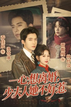 一心想离婚，少夫人她不好惹