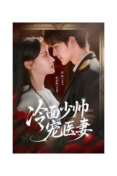 冷面少帅宠医妻