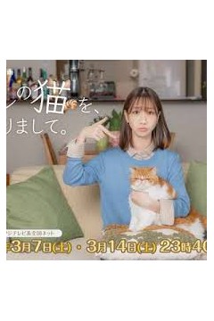 我收留了前男友的猫